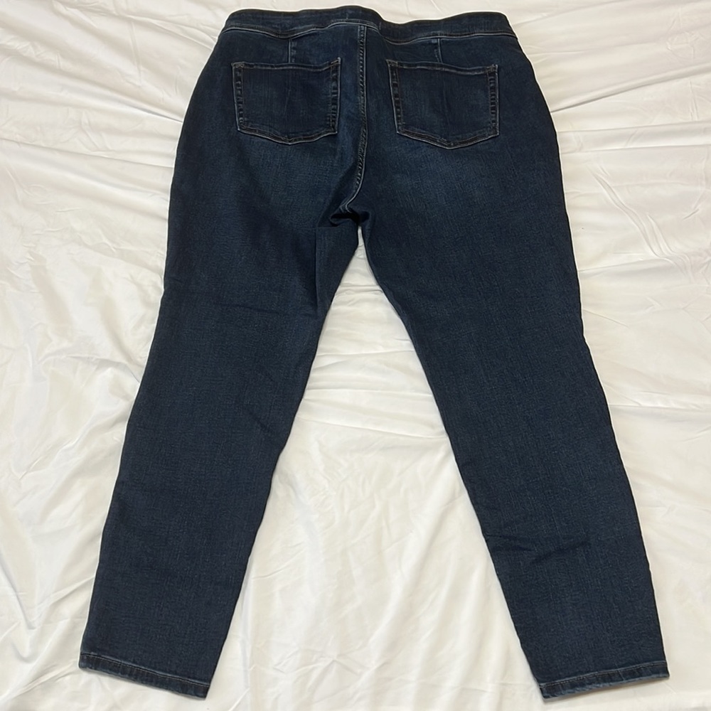 Lane Bryant Jeggings - Picture 2 of 5